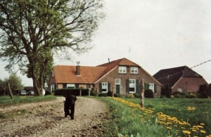 BOE 6 Groenouwe voor 1992